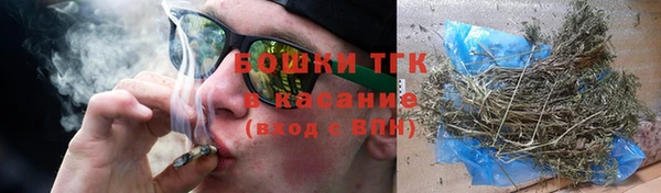 стаф Каменка