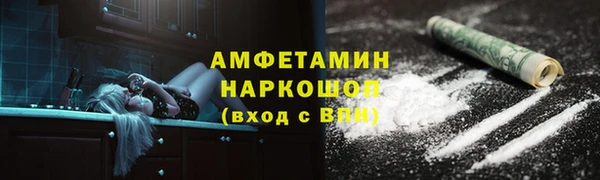 стаф Каменка