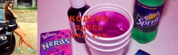 стаф Каменка