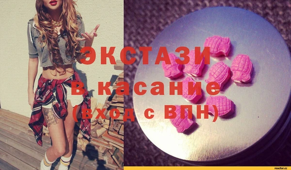стаф Каменка
