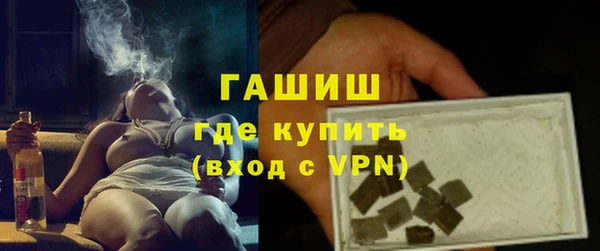стаф Каменка