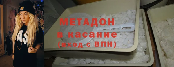 стаф Каменка