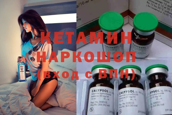 стаф Каменка
