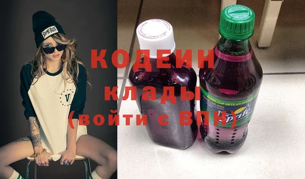 стаф Каменка