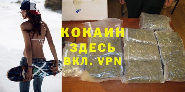стаф Каменка