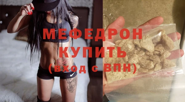 стаф Каменка