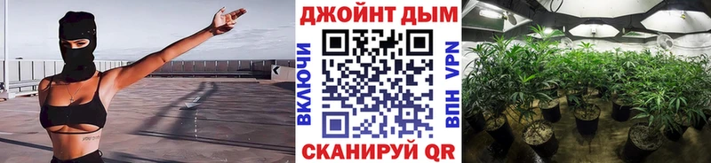 Канабис индика Жиздра